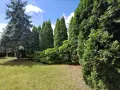 Zieleń ogrodu, wysokie tuje i świerki tworzą gęsty żywopłot. Widać, jak szybko rosną tuje, tworząc naturalną barierę.
