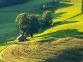 Zabudowa zagrodowa, kto może budować? Malowniczy krajobraz z małym domkiem, drzewami i sianem na zielonych wzgórzach.