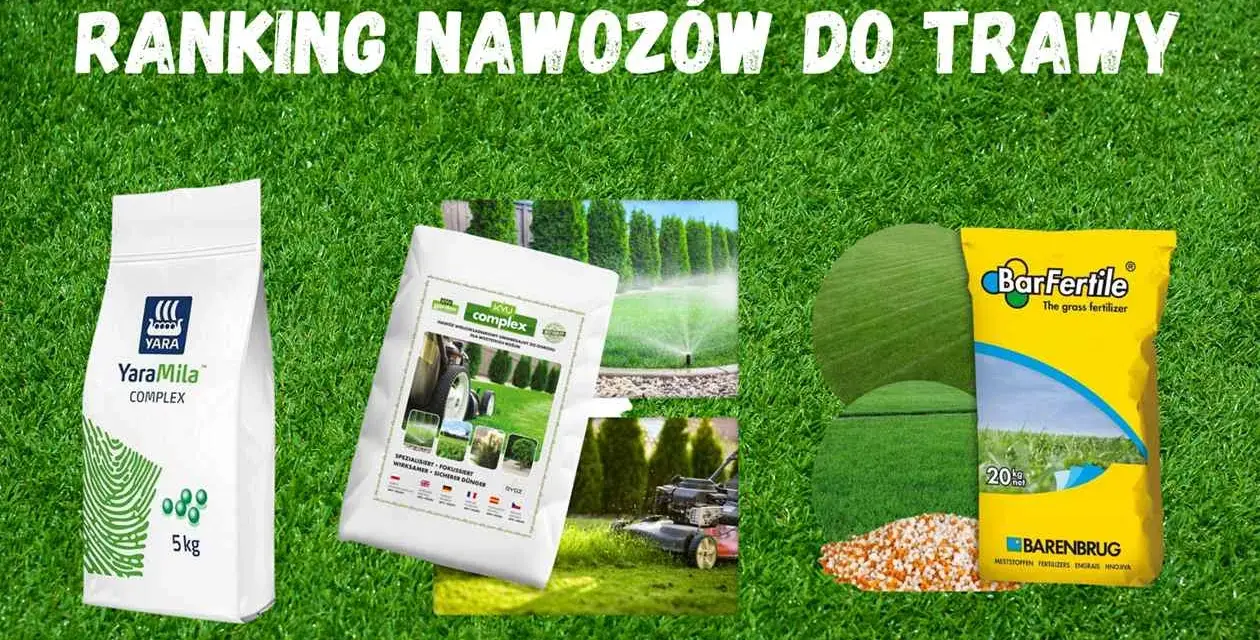 Ranking nawozów do trawy: YaraMila Complex, Barenbrug BarFertile. Wybierz najlepszy nawóz do trawy dla swojego ogrodu.