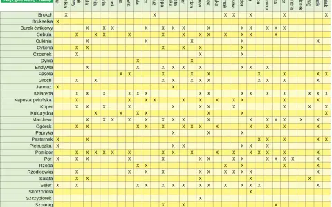 Tabela podpowiada, jakie warzywa nie sadzić obok siebie. Unikaj błędnych połączeń, by mieć zdrowszy ogród.