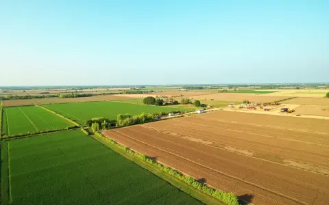 Rozległe, zielone i brązowe pola uprawne pod błękitnym niebem. W oddali widać maszyny budowlane, co może sugerować, ile trwa odrolnienie działki.