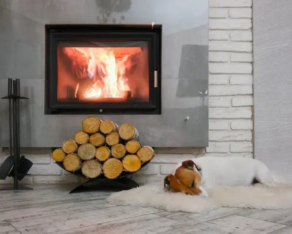 Pies śpi przy kominku z płonącym ogniem. Obok stos drewna i akcesoria. Dowiedz się, jak zrobić płaszcz wodny do kominka.