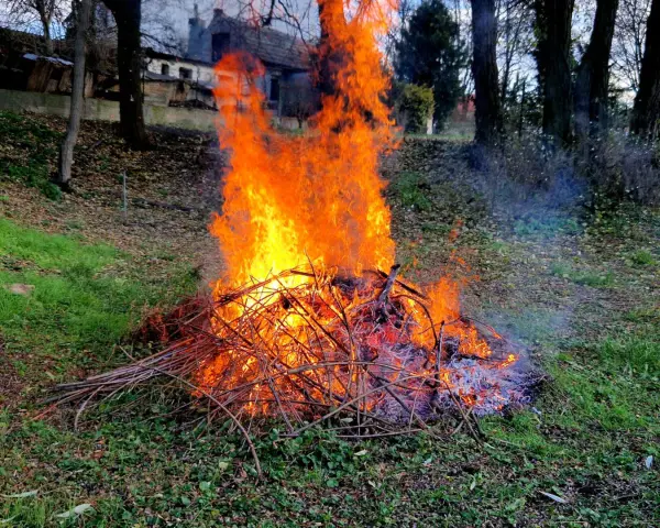 Płonące ognisko z gałęzi na wsi. Czy można palić gałęzie na wsi? Tak, jeśli jest to bezpieczne i zgodne z przepisami.